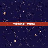 1983年的猪一生的命运，1983年出生属猪的命运