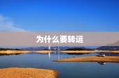 为什么要转运，美国亚马逊海淘为什么要走转运公司？