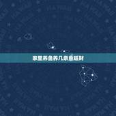 家里养鱼养几条鱼旺财，家庭养鱼风水属相搭配，看看你养几条鱼才能旺财