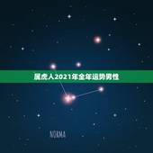 属虎人2021年全年运势男性，1986年属虎男2021年每个月运势