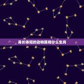 身长体短的动物属相什么生肖，身长脚短是什么生肖