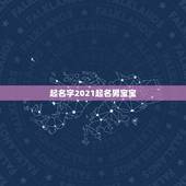 起名字2021起名男宝宝，2021男孩取名字寓意好的有哪些？