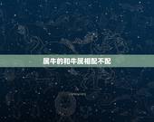 属牛的和牛属相配不配，属虎和属牛相配吗？