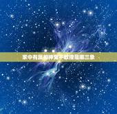 家中有属相神鬼不敢撞是哪三象，一家有三象，神鬼不敢撞，具体指的是哪三象