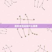 流年辛丑运是什么意思，三元九运是什么意思