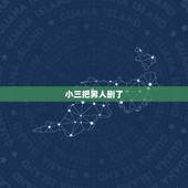小三把男人删了，男情人已经不在爱小三了，回归家庭了小三把他微信删了可以