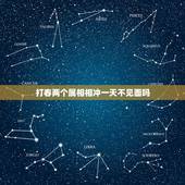 打春两个属相相冲一天不见面吗，如果两个属相相冲，会怎么样