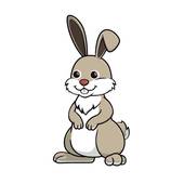 属兔人进入36岁好不好(如何应对人生中的转折点)