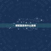 婚配最忌讳什么属相，属相婚配四大忌