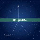 属牛一生注定情人，属牛的对情人好吗