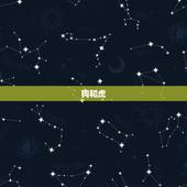 狗和虎，狗和虎好吗？