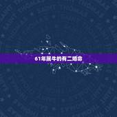 61年属牛的有二婚命，二婚比头婚幸福的生肖
