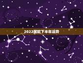 2022属蛇下半年运势，2022 年运势12生肖运势