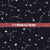 丁卯日柱2022年运势，丁卯日柱走己已食神运遇丙申流年的运势