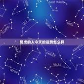 属虎的人今天的运势怎么样，2022 属虎人的全年运势女