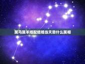属马属羊婚配结婚当天忌什么属相，属羊得结婚忌讳什么属相