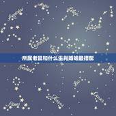 所属老鼠和什么生肖婚姻最搭配，属鼠的和什么属相最配