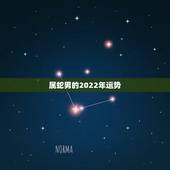 属蛇男的2022年运势，属蛇未来5年运势走向