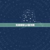 完美婚配txt趣书网，求解这对八字合婚！