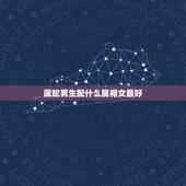 属蛇男生配什么属相女最好，属蛇的男生和什么生肖的女生最配