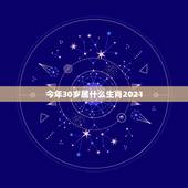 今年30岁属什么生肖2021，2021年属蛇的今年多大虚岁