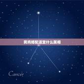 男鸡婚配适宜什么属相，属鸡男和什么属相最配？