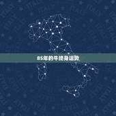 85年的牛终身运势，85年属牛人最穷不过36岁