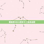 董易奇2022虎年十二生肖运程，2013年生肖猪的运程详细分析