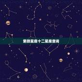 紫微星座十二星座查询，紫微星是什么星座？怎么看自己属于哪个的？