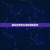属蛇的男性合适的婚配属性，男属蛇的属相婚配表 属蛇的和什么属相最配