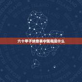 六十甲子纳音表中属相是什么，六十甲子纳音表指的是什么