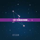 1977年属蛇的婚配，1977年属蛇一生有二婚
