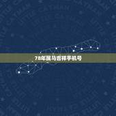 78年属马吉祥手机号，1978年属马的用3388尾号手机号可以吗
