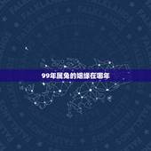 99年属兔的姻缘在哪年，99年属兔的和什么属相最配