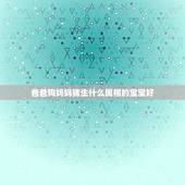 爸爸狗妈妈猪生什么属相的宝宝好，爸爸属狗，妈妈属猪，生个属什么的BB好