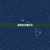 巳蛇五行属什么，女孩用的五行属金的字