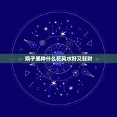 院子里种什么花风水好又旺财，解析：院子里种什么花风水好