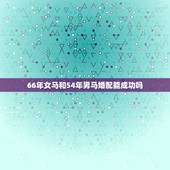 66年女马和54年男马婚配能成功吗，1966年属马男和1969年属鸡女