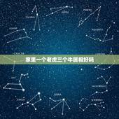 家里一个老虎三个牛属相好吗，家中有三个属相虎的，对家庭和睦有没影响？