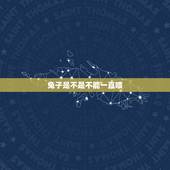 兔子是不是不能一直喂，兔子为什么一直吃