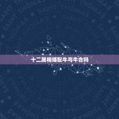 十二属相婚配牛与牛合吗，牛和什么属相相配