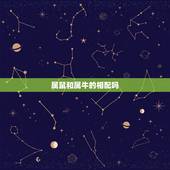 属鼠和属牛的相配吗，属鼠和属牛相配吗