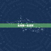 生肖猴一生运势，80年属猴43岁会有什么大劫