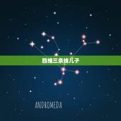 四维三条线儿子，怀孕6个月了去做四维。请问做四维是检查哪个部位。