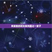 男属猴的和女属狗能过一辈子，女属狗和男属猴配吗