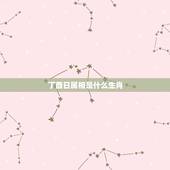 丁酉日属相是什么生肖，辛未年辛丑月丁酉日子时