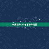 95属猪2022年下半年运势，2021年95年属猪女运势