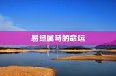 易经属马的命运，易经与命运3曾仕强