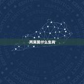 丙寅属什么生肖，乙酉月是什么生肖