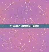 87年农历11月兔婚配什么属相，男87年11月属兔的和什么属相最配